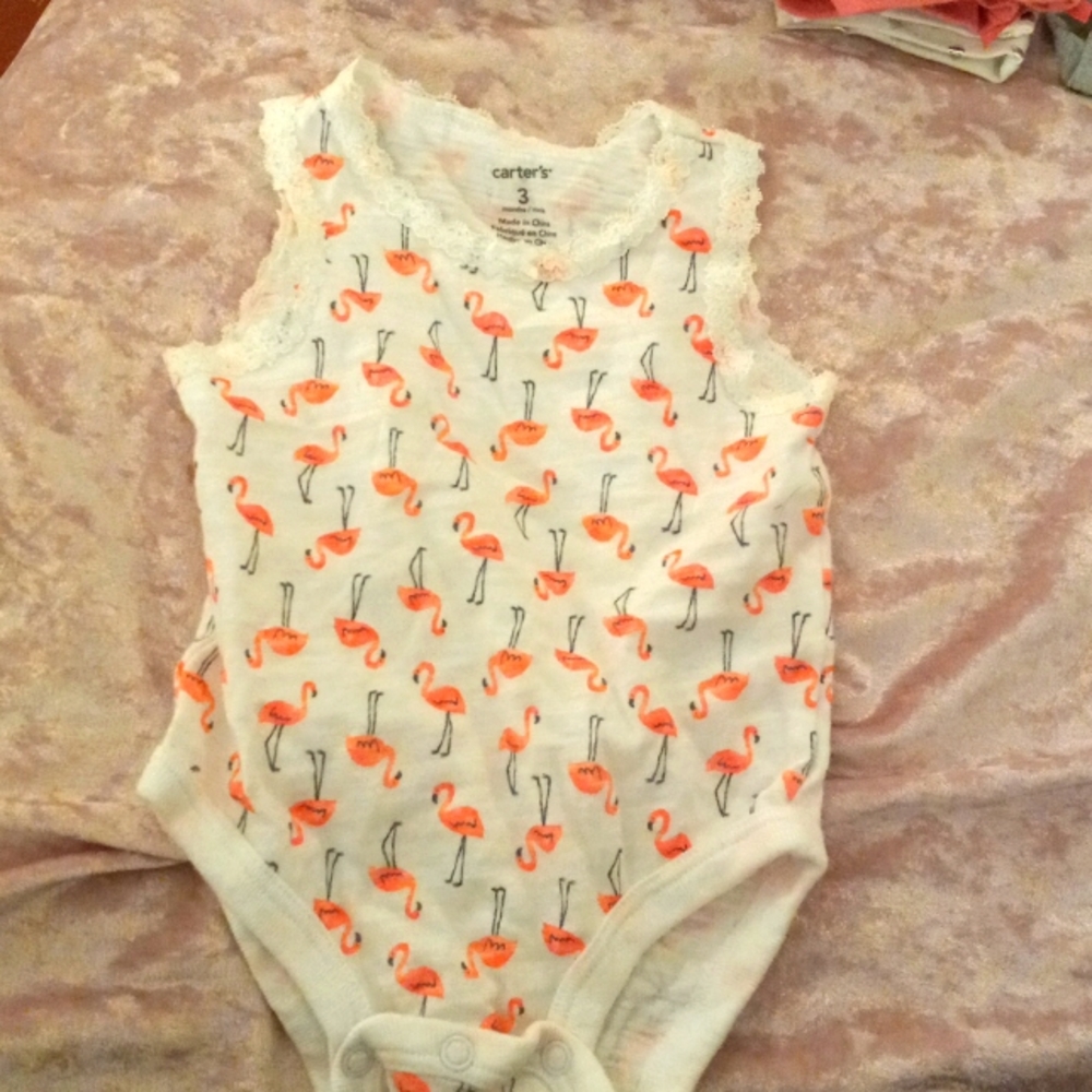 Flamingos onesie